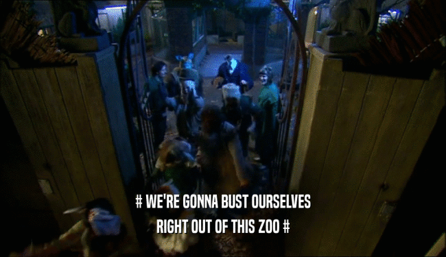 # WE'RE GONNA BUST OURSELVES RIGHT OUT OF THIS ZOO # 