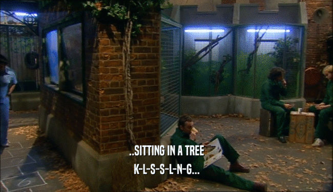..SITTING IN A TREE K-L-S-S-L-N-G... 