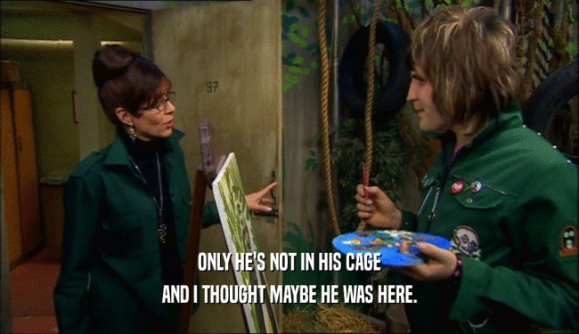 ONLY HE'S NOT IN HIS CAGE AND I THOUGHT MAYBE HE WAS HERE. 