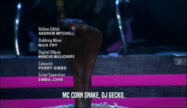 MC CORN SNAKE, DJ GECKO,  