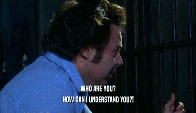 WHO ARE YOU? HOW CAN I UNDERSTAND YOU?! 
