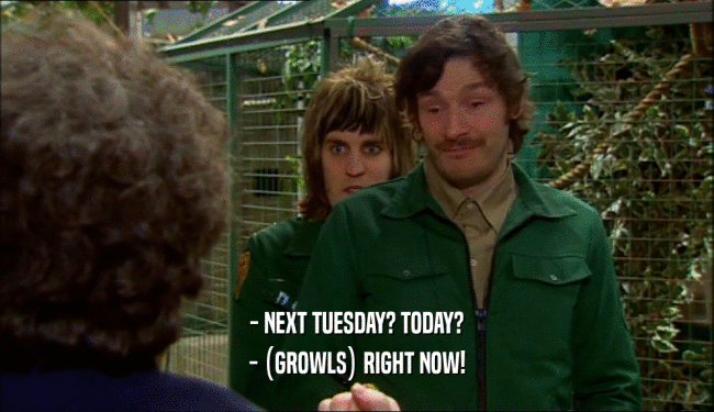 - NEXT TUESDAY? TODAY?
 - (GROWLS) RIGHT NOW!
 