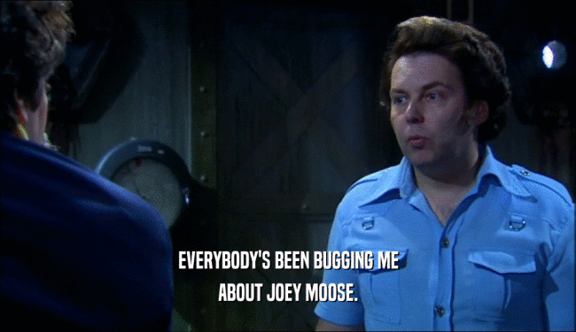 EVERYBODY'S BEEN BUGGING ME ABOUT JOEY MOOSE. 