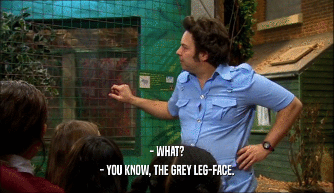 - WHAT? - YOU KNOW, THE GREY LEG-FACE. 