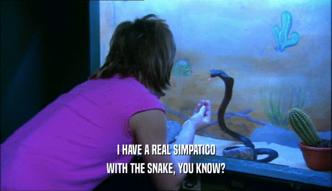 I HAVE A REAL SIMPATICO WITH THE SNAKE, YOU KNOW? 