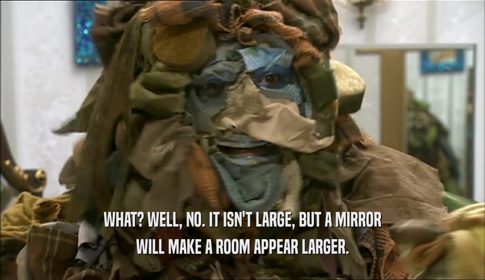 WHAT? WELL, NO. IT ISN'T LARGE, BUT A MIRROR WILL MAKE A ROOM APPEAR LARGER. 