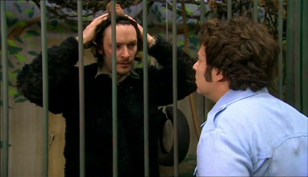WHAT? YOU WANTED AN APE, I GAVE YOU AN APE. A REAL APE. 