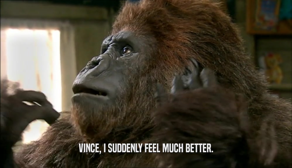 VINCE, I SUDDENLY FEEL MUCH BETTER.  
