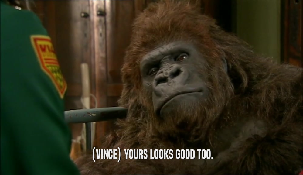 (VINCE) YOURS LOOKS GOOD TOO.  