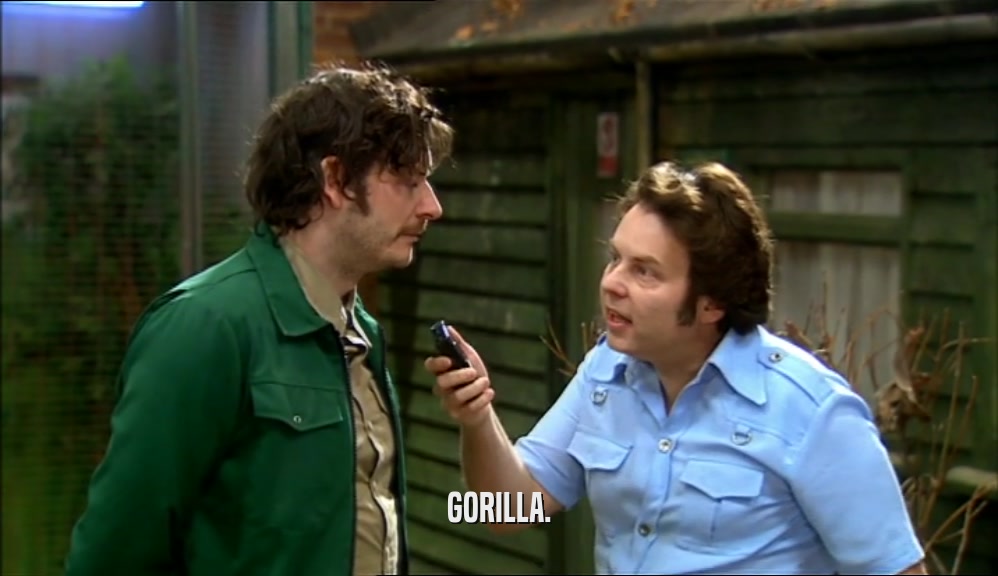 GORILLA.  