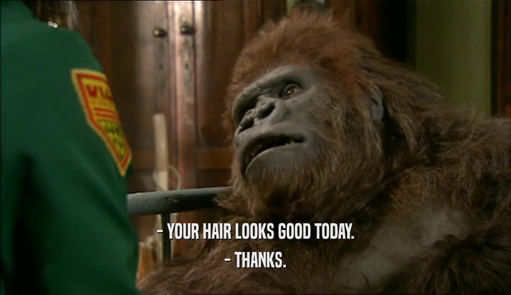 - YOUR HAIR LOOKS GOOD TODAY. - THANKS. 