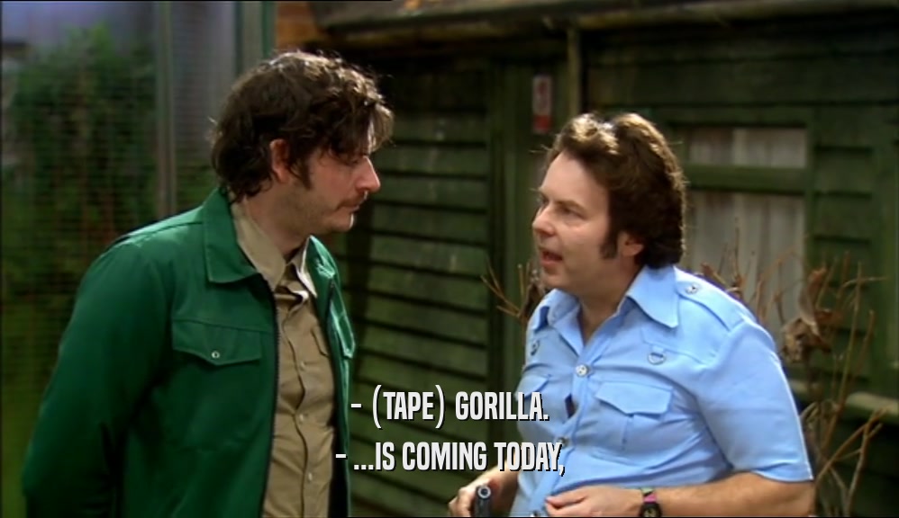 - (TAPE) GORILLA. - ...IS COMING TODAY, 