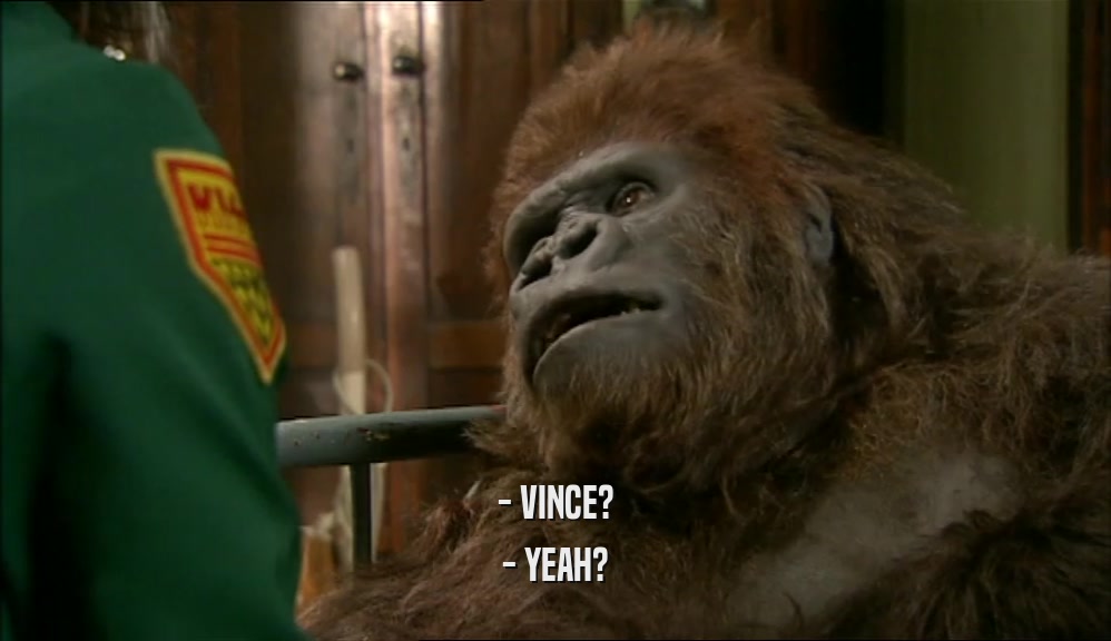 - VINCE? - YEAH? 