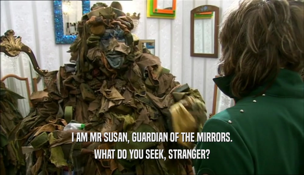I AM MR SUSAN, GUARDIAN OF THE MIRRORS. WHAT DO YOU SEEK, STRANGER? 