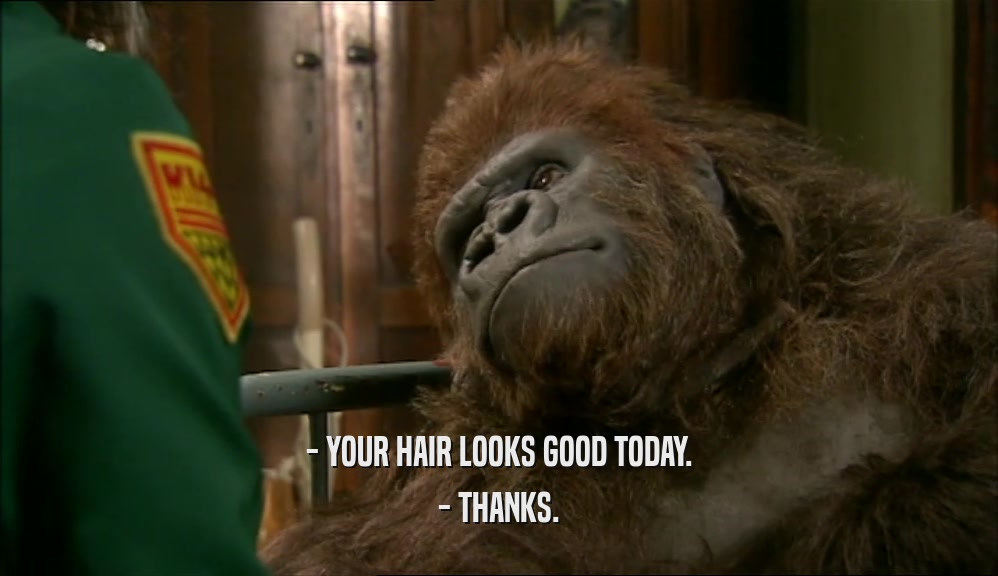 - YOUR HAIR LOOKS GOOD TODAY. - THANKS. 