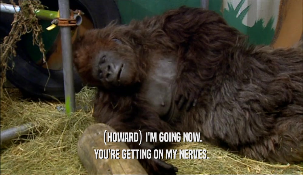 (HOWARD) I'M GOING NOW. YOU'RE GETTING ON MY NERVES. 