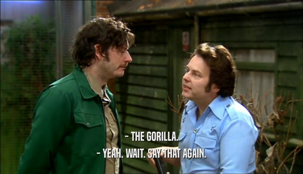 - THE GORILLA. - YEAH. WAIT. SAY THAT AGAIN. 