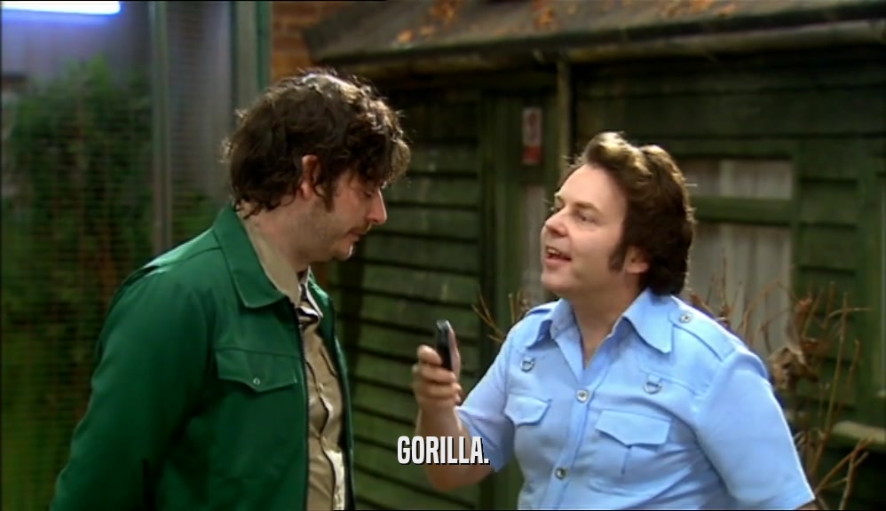GORILLA.  