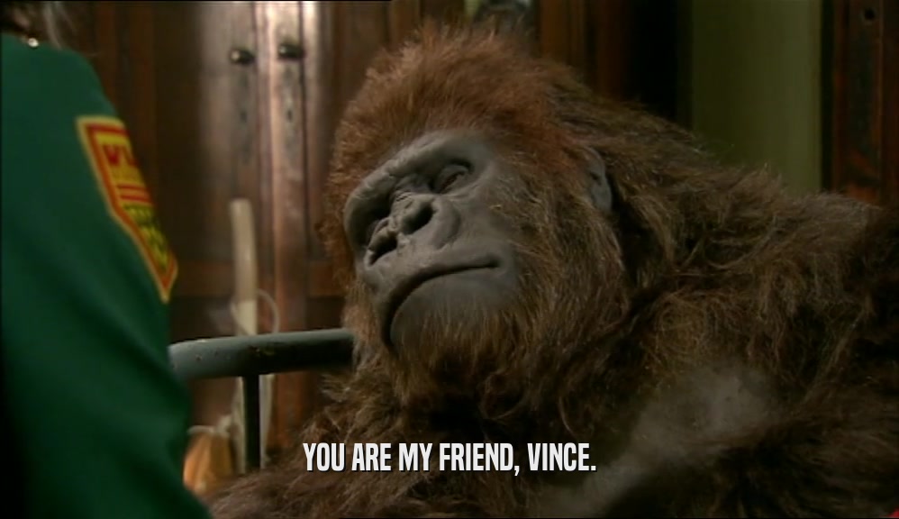 YOU ARE MY FRIEND, VINCE.
  