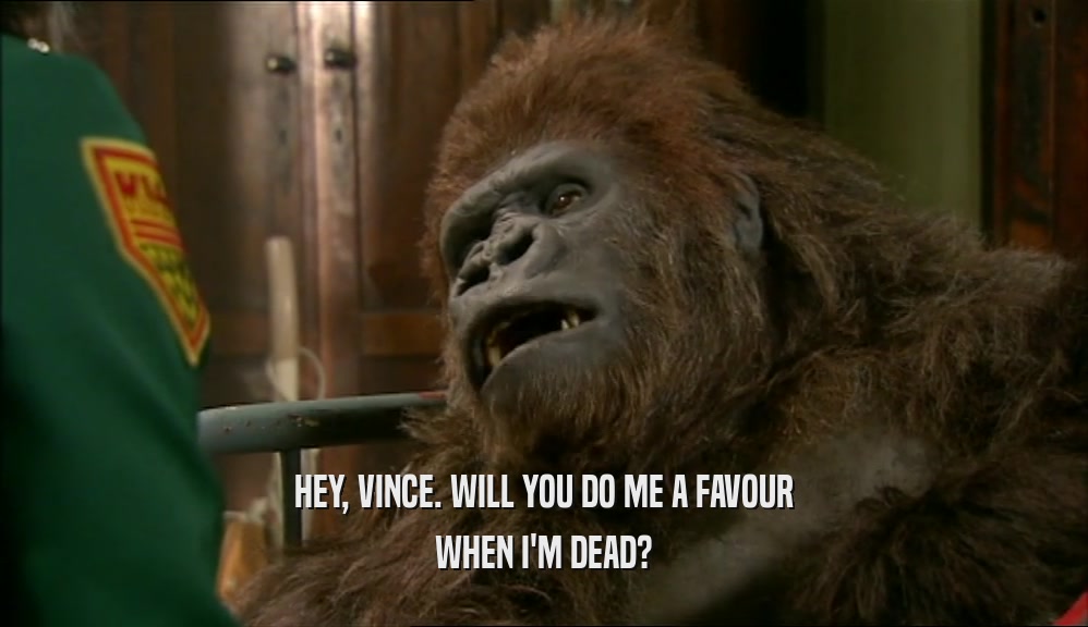 HEY, VINCE. WILL YOU DO ME A FAVOUR WHEN I'M DEAD? 