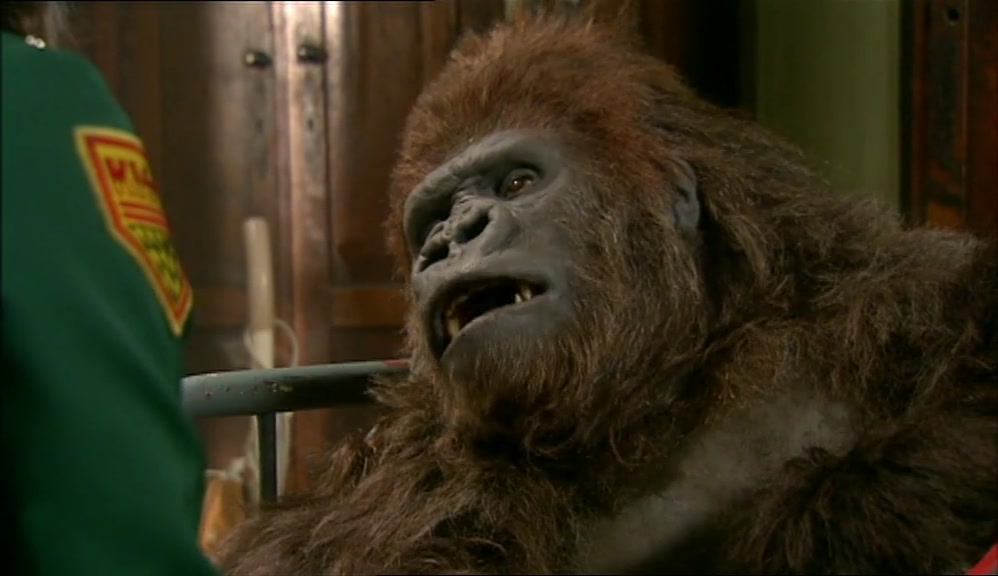 HEY, VINCE. WILL YOU DO ME A FAVOUR WHEN I'M DEAD? 
