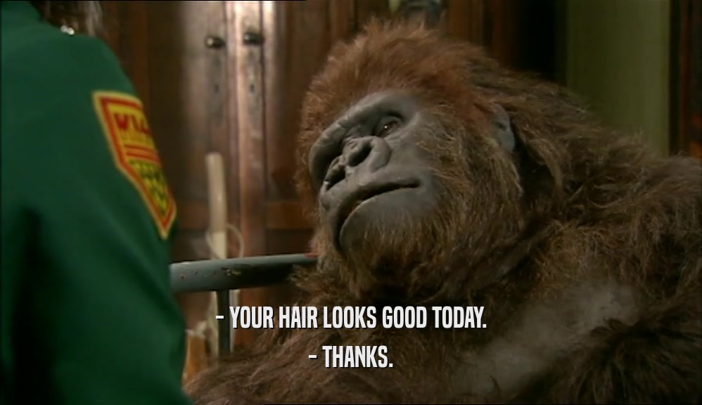 - YOUR HAIR LOOKS GOOD TODAY. - THANKS. 