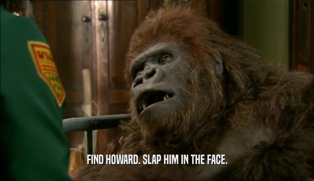 FIND HOWARD. SLAP HIM IN THE FACE.  