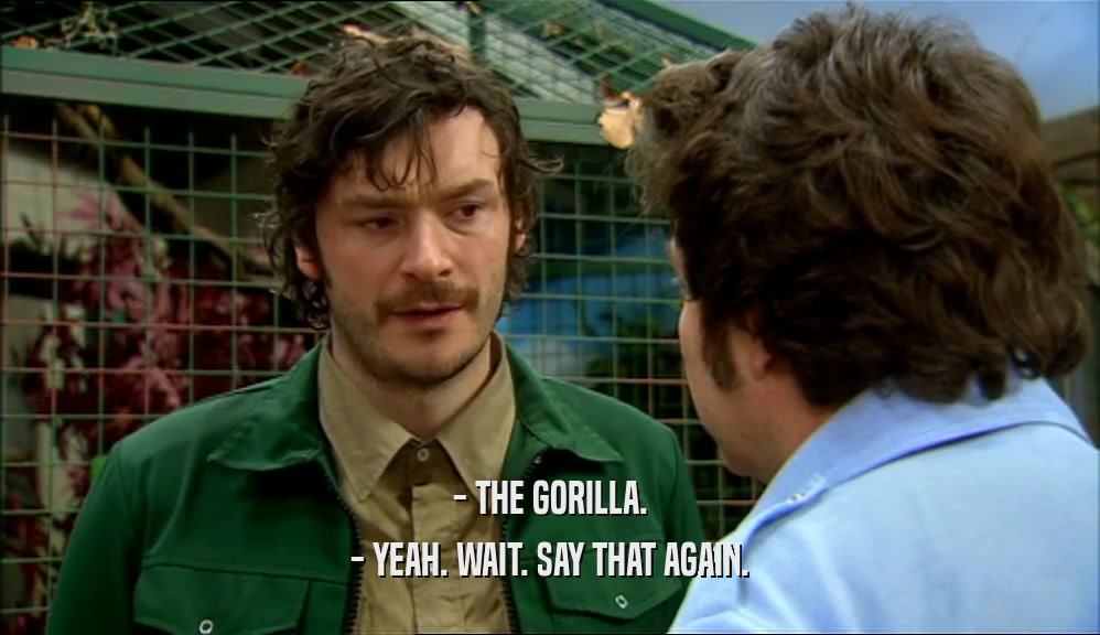 - THE GORILLA. - YEAH. WAIT. SAY THAT AGAIN. 