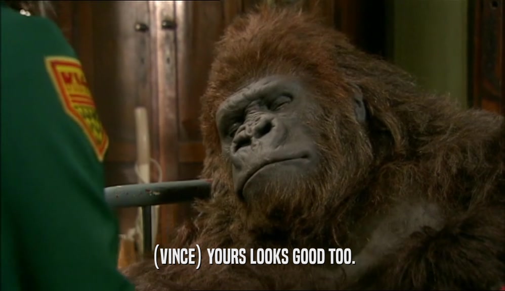 (VINCE) YOURS LOOKS GOOD TOO.  