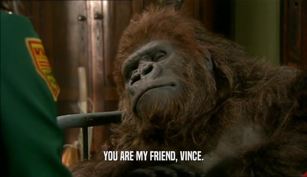 YOU ARE MY FRIEND, VINCE.
  