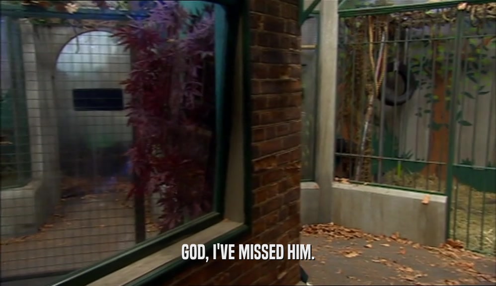 GOD, I'VE MISSED HIM.  