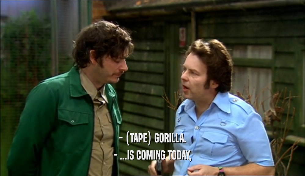 - (TAPE) GORILLA. - ...IS COMING TODAY, 