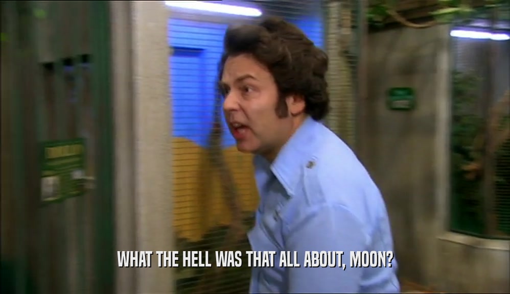 WHAT THE HELL WAS THAT ALL ABOUT, MOON?
  