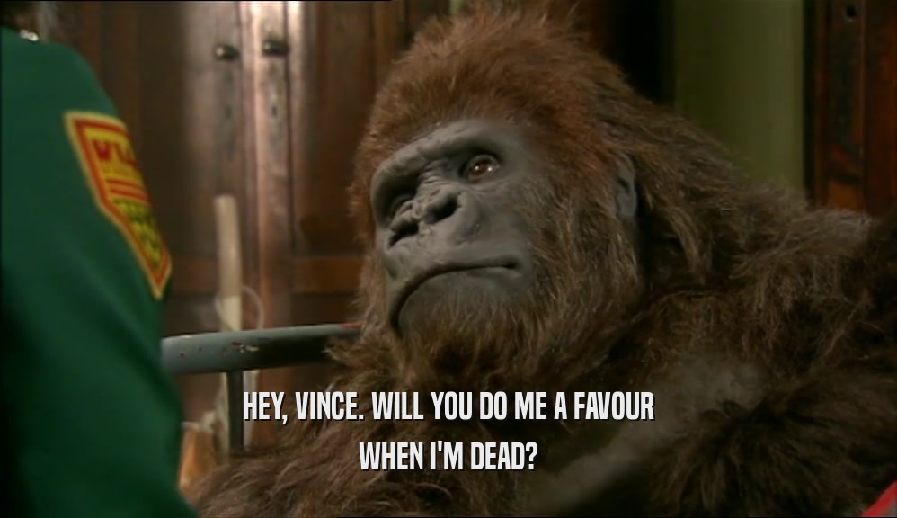 HEY, VINCE. WILL YOU DO ME A FAVOUR WHEN I'M DEAD? 