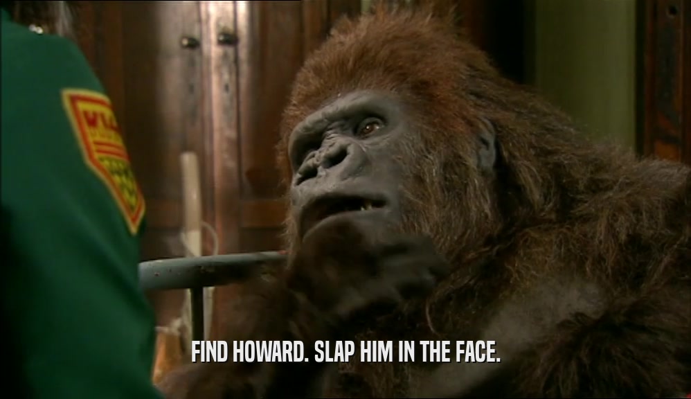 FIND HOWARD. SLAP HIM IN THE FACE.  