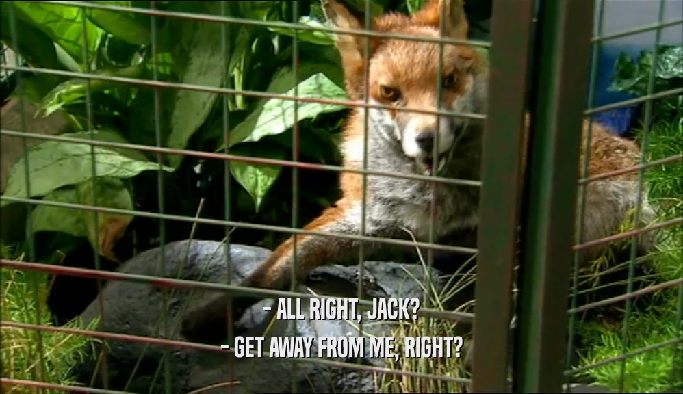 - ALL RIGHT, JACK? - GET AWAY FROM ME, RIGHT? 
