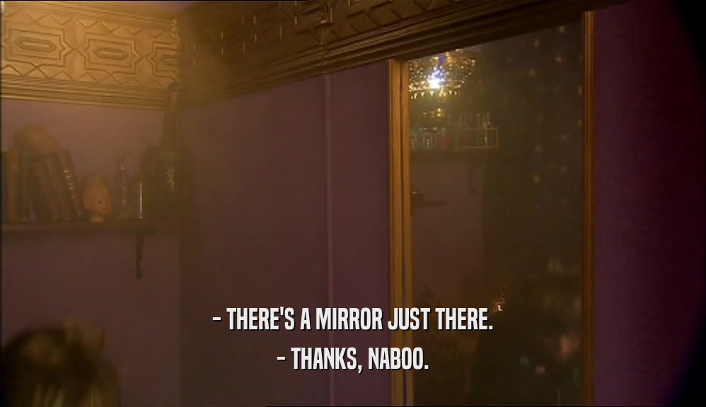 - THERE'S A MIRROR JUST THERE. - THANKS, NABOO. 