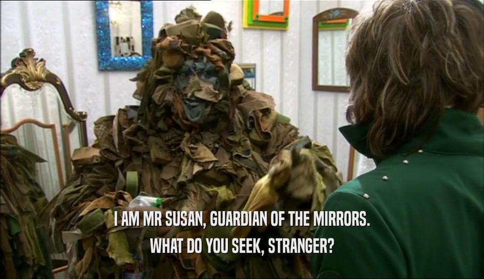 I AM MR SUSAN, GUARDIAN OF THE MIRRORS. WHAT DO YOU SEEK, STRANGER? 