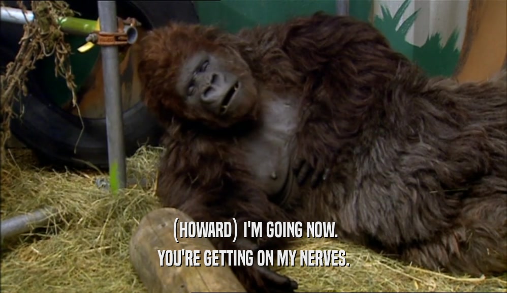 (HOWARD) I'M GOING NOW. YOU'RE GETTING ON MY NERVES. 