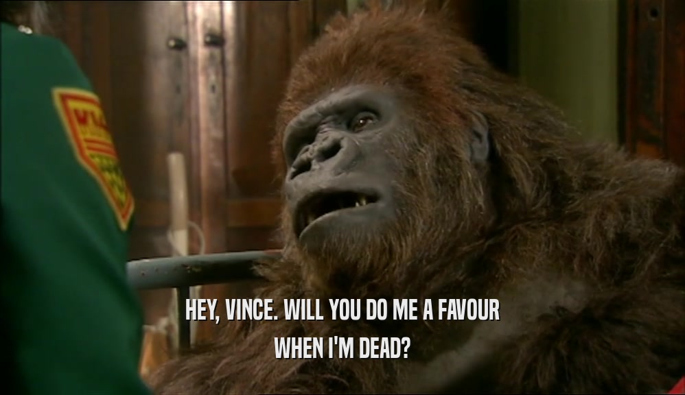 HEY, VINCE. WILL YOU DO ME A FAVOUR WHEN I'M DEAD? 