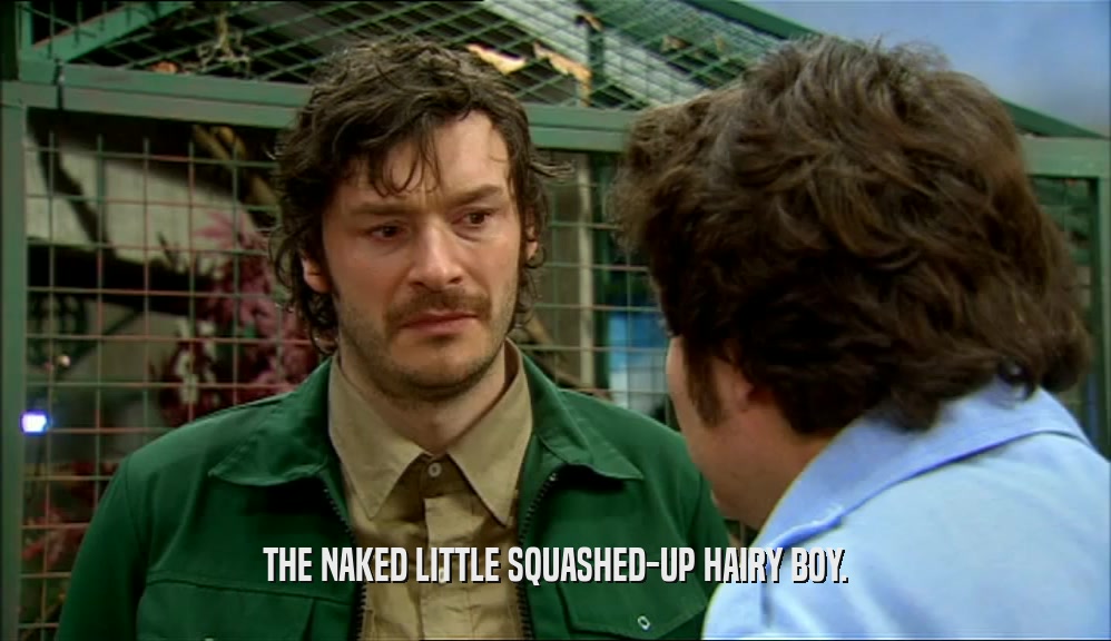 THE NAKED LITTLE SQUASHED-UP HAIRY BOY.  