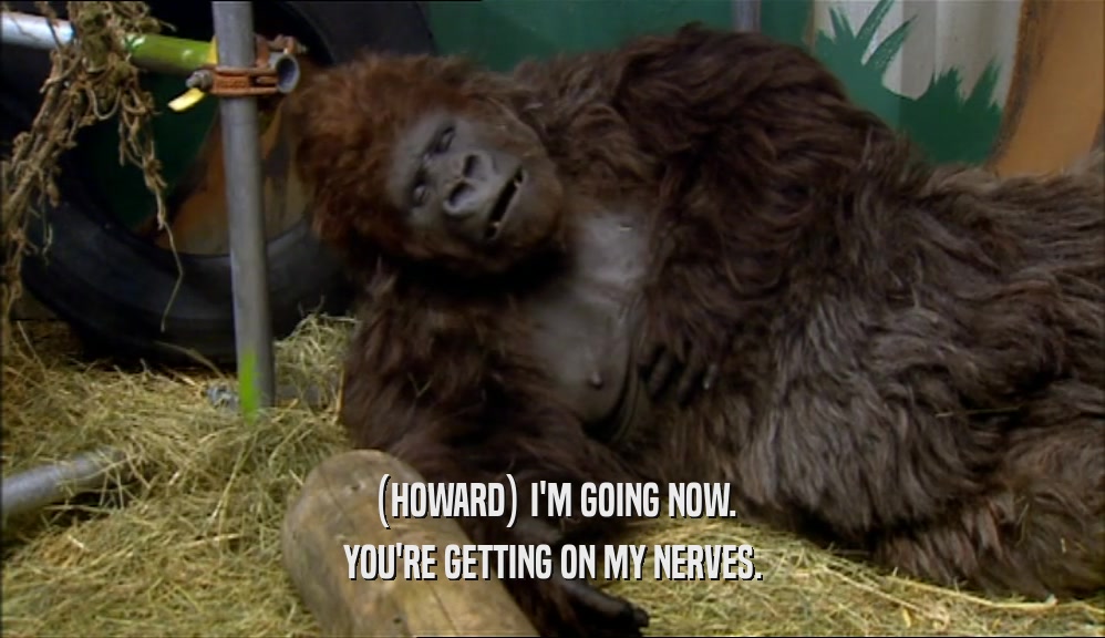 (HOWARD) I'M GOING NOW. YOU'RE GETTING ON MY NERVES. 