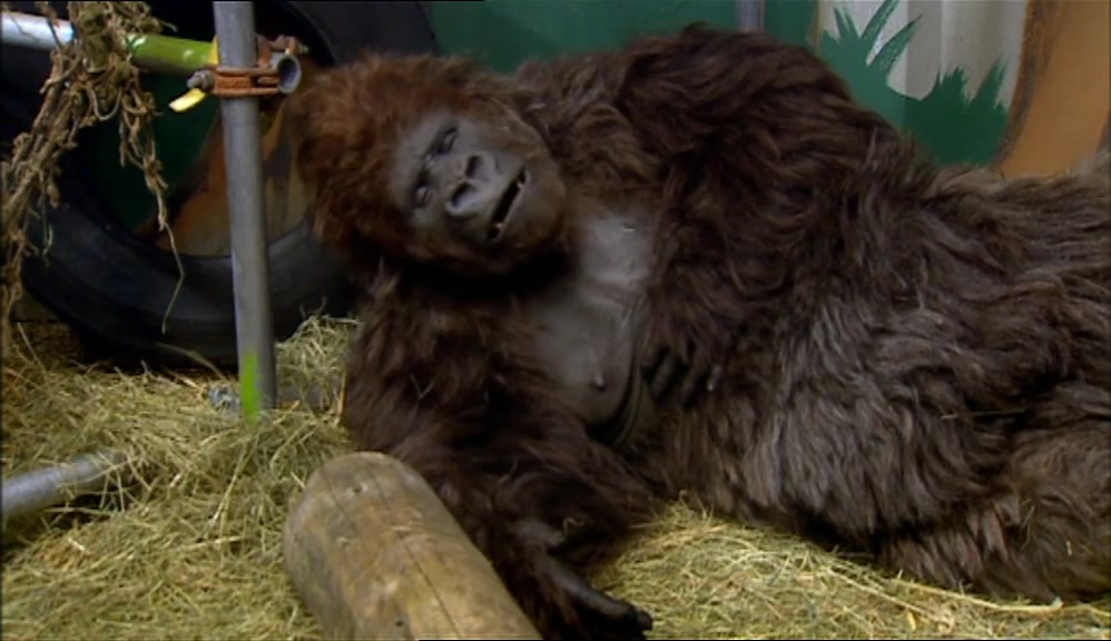 (HOWARD) I'M GOING NOW. YOU'RE GETTING ON MY NERVES. 