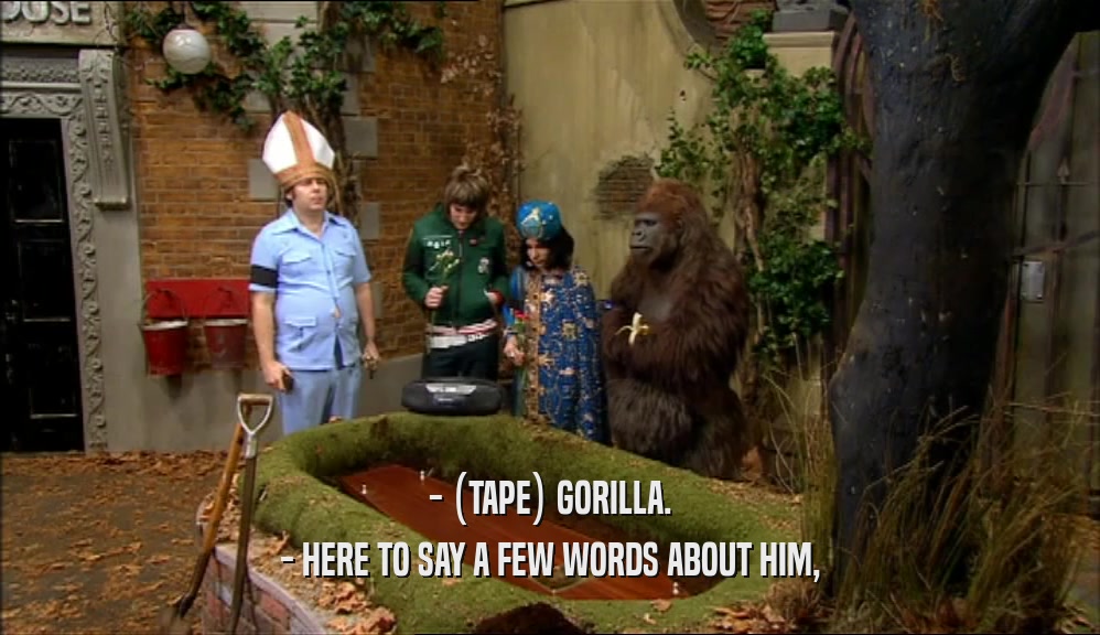 - (TAPE) GORILLA. - HERE TO SAY A FEW WORDS ABOUT HIM, 