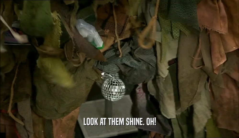 LOOK AT THEM SHINE. OH!  