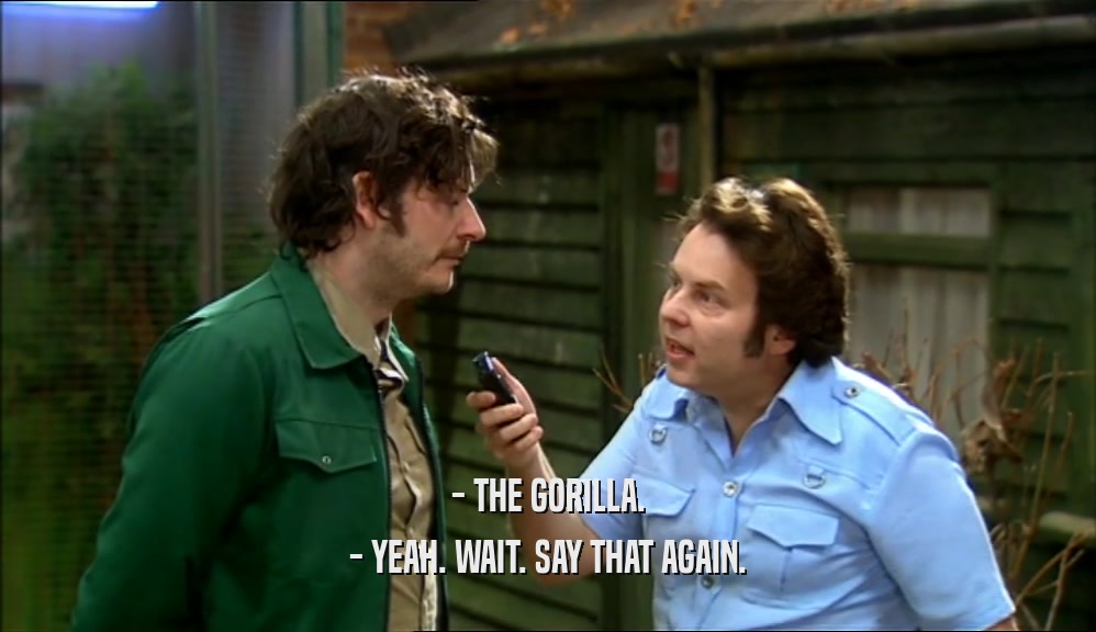 - THE GORILLA. - YEAH. WAIT. SAY THAT AGAIN. 