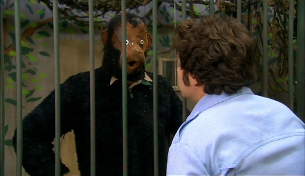 WHAT? YOU WANTED AN APE, I GAVE YOU AN APE. A REAL APE. 