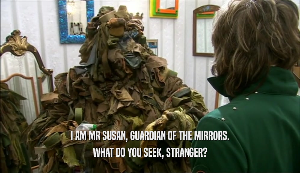I AM MR SUSAN, GUARDIAN OF THE MIRRORS. WHAT DO YOU SEEK, STRANGER? 