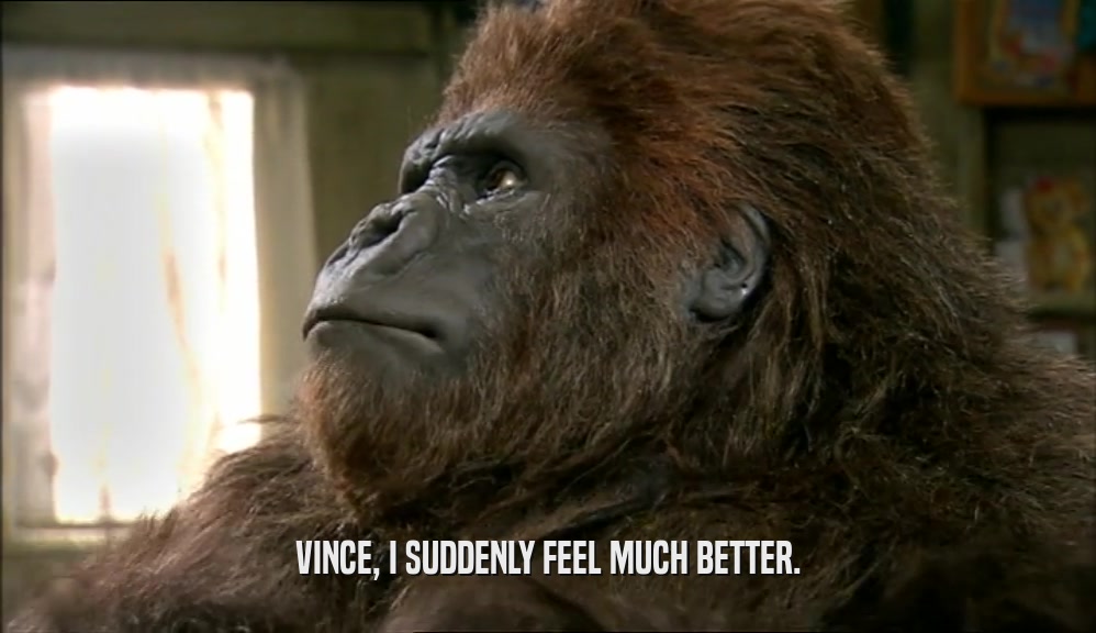 VINCE, I SUDDENLY FEEL MUCH BETTER.  