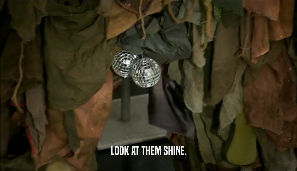 LOOK AT THEM SHINE.  